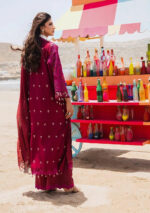ELAF "HAI KUCH" FESTIVE LAWN 2024 AT-01 Gulzar - Image 2