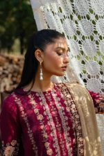 Saira Rizwan 09 - Image 2
