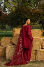 Saira Rizwan 05 - Image 2