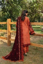 Saira Rizwan 10 - Image 2