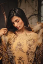 Saira Rizwan 07 - Image 2