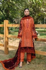 Saira Rizwan 10