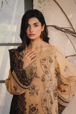 Saira Rizwan 07 - Image 3