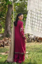 Saira Rizwan 09 - Image 3