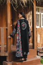 Saira Rizwan 08 - Image 3