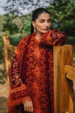 Saira Rizwan 10 - Image 4