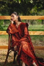 Saira Rizwan 10 - Image 5