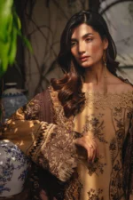 Saira Rizwan 07 - Image 4