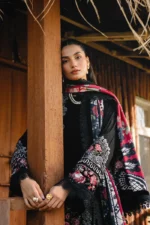 Saira Rizwan 08 - Image 4