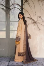 Saira Rizwan 07 - Image 5