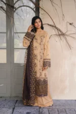 Saira Rizwan 07 - Image 6