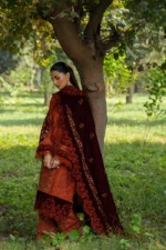 Saira Rizwan 10 - Image 6