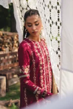 Saira Rizwan 09 - Image 5