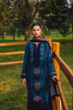 Saira Rizwan 04 - Image 5