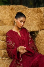 Saira Rizwan 05 - Image 4