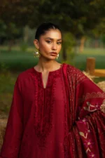Saira Rizwan 05 - Image 5